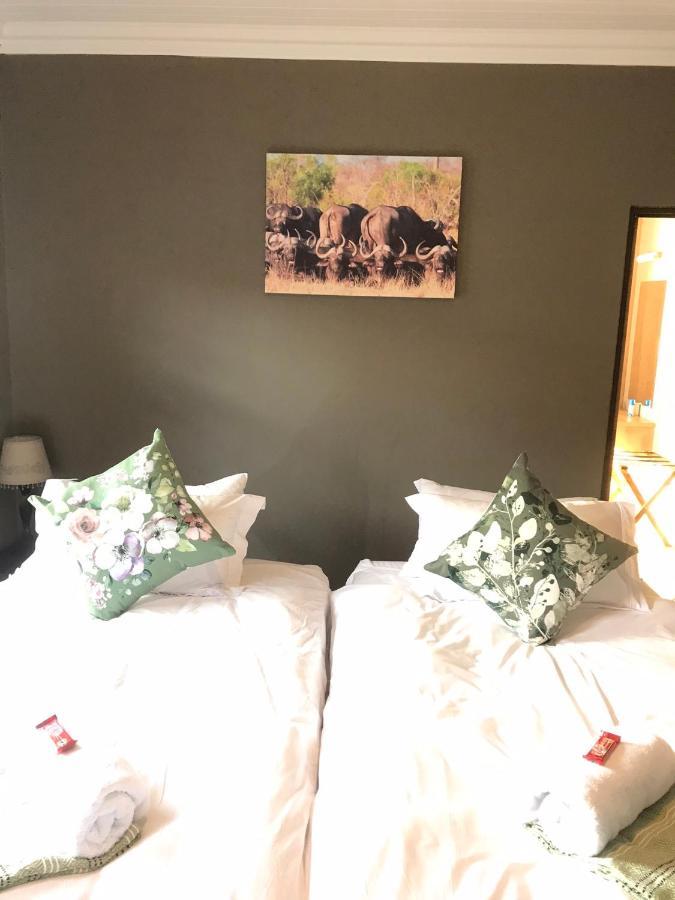 African Dream Tour Hoedspruit Dış mekan fotoğraf