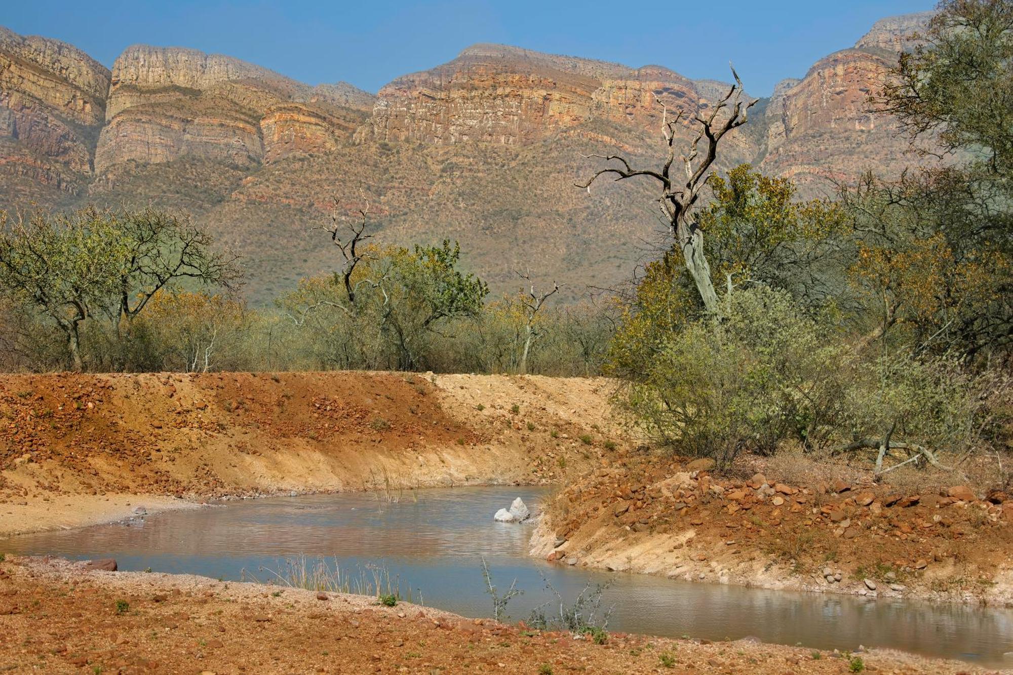 African Dream Tour Hoedspruit Dış mekan fotoğraf